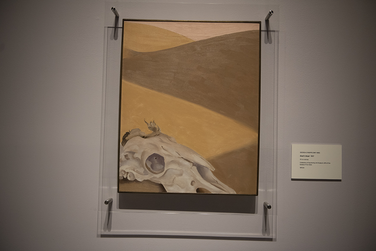 DreamWeek SA- Briscoe Museum Highlights